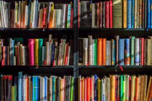 christmas background, books, bookstore, reading, writer, read, reader, colors, shelf, education, library, knowledge, novels